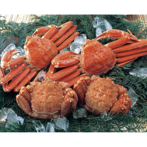[食品ギフト] 新・豪華ずわい毛がに 4尾セット