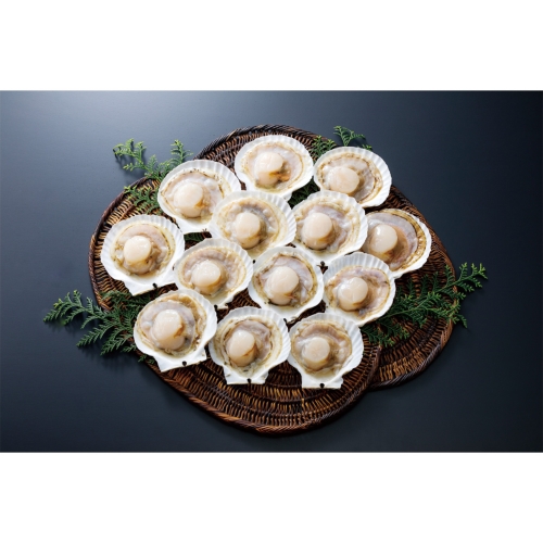 [食品ギフト] 北海道のおっきな ほたて貝13枚