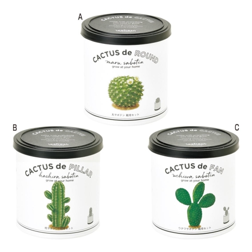 [栽培セット] カクタスdeカクタス