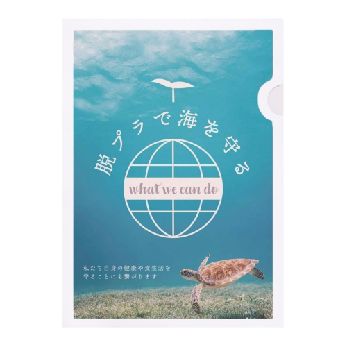 FSC紙製ファイルバラ