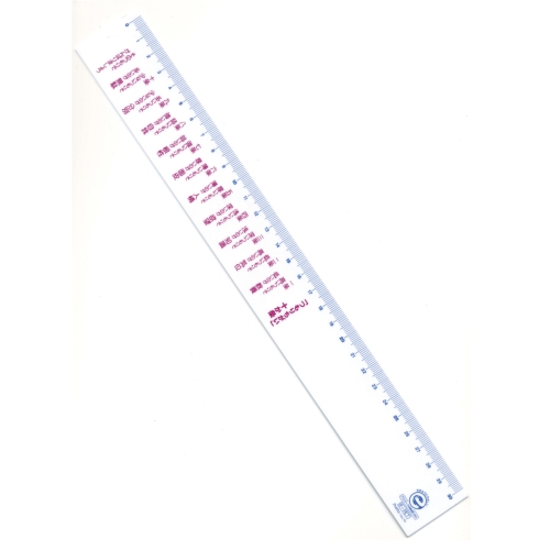エコ・直定規30cm つもりちがい十か条