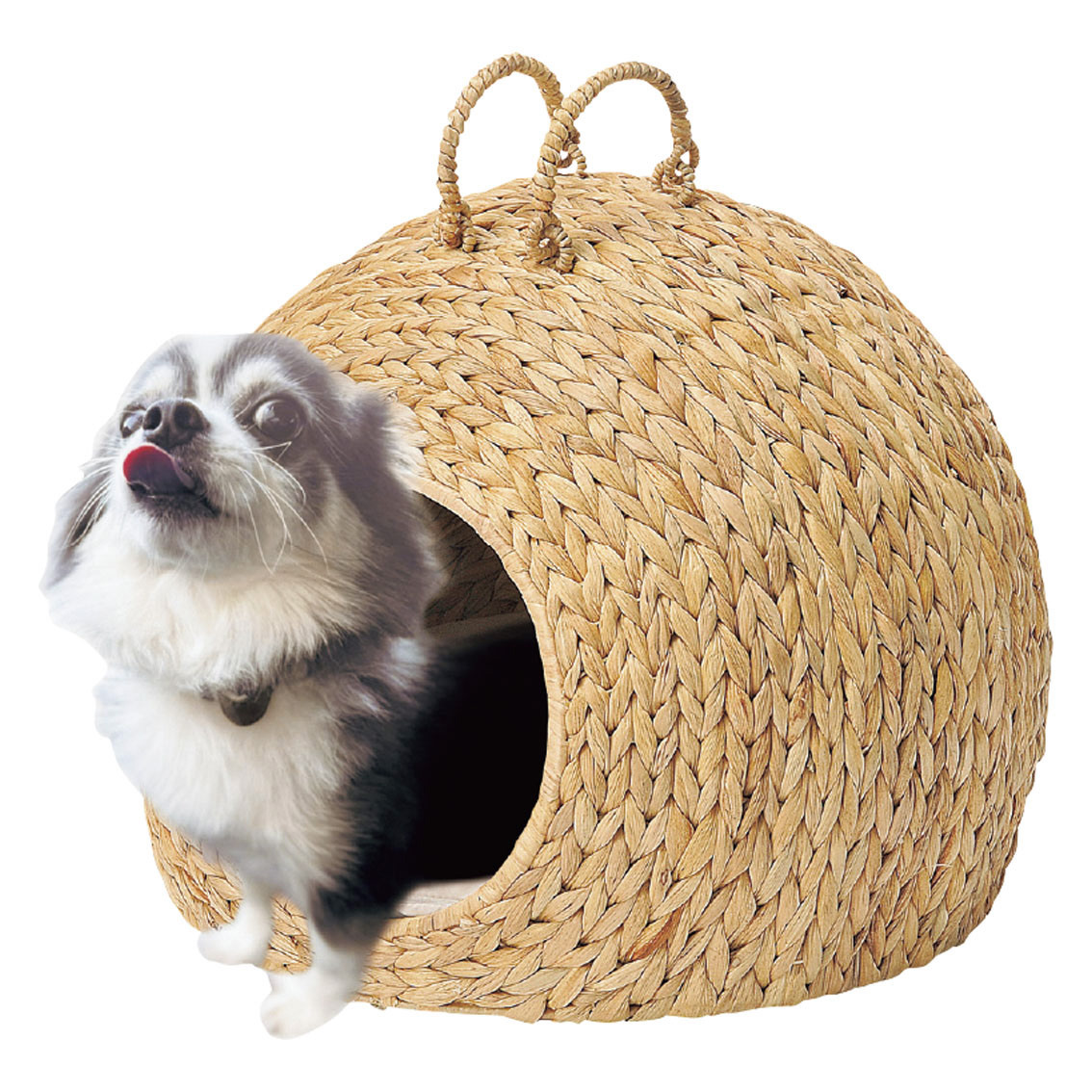 ウォーターヒヤシンス製ペットハウス