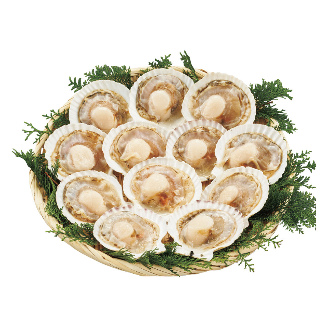 北海道のほたて貝L12枚