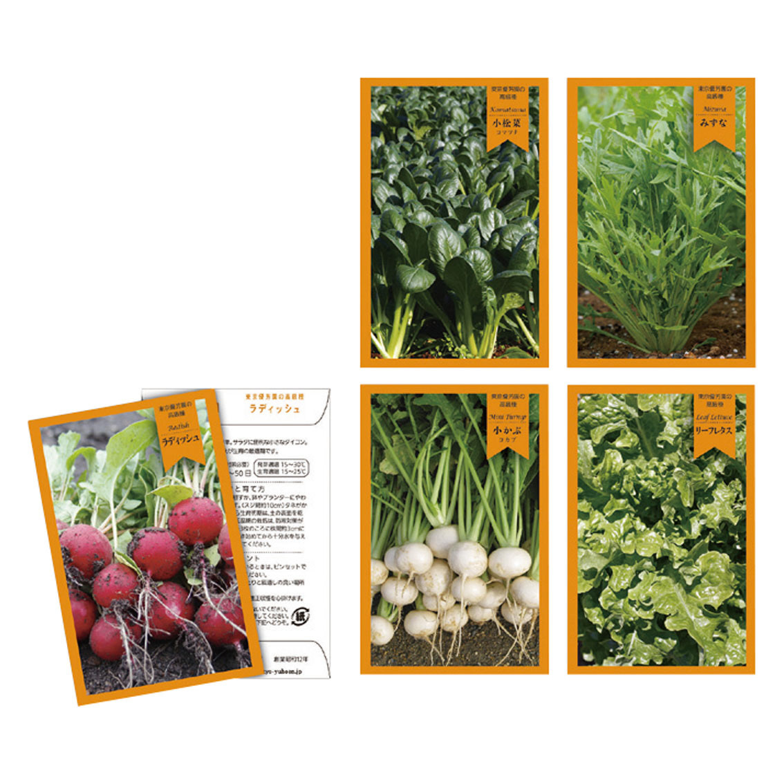 thank you seed （野菜）