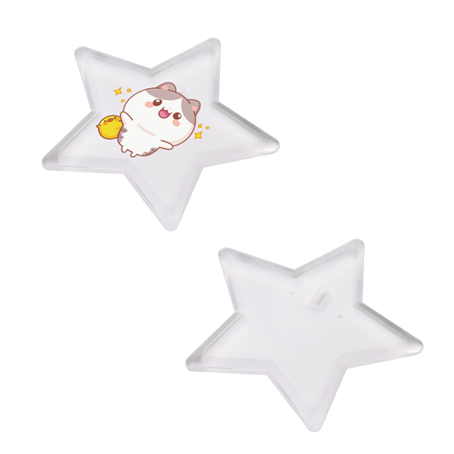 ＜アウトレット売切廃盤＞ ライティングバッジ 星形