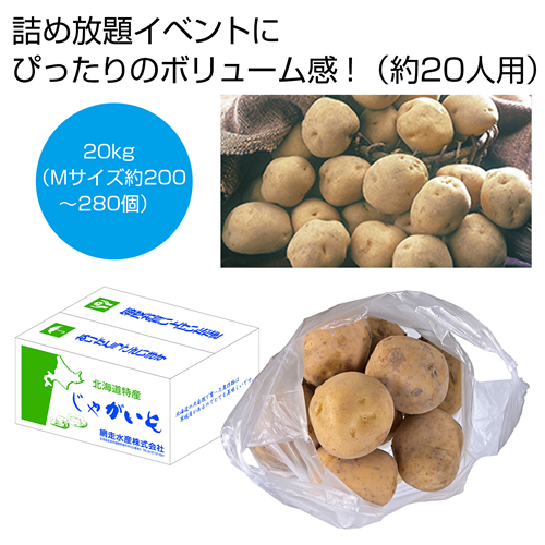 [食品ギフト] 北海道産男爵じゃがいも詰め放題キット20kg（約20人用）