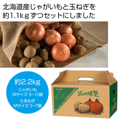 [食品ギフト] 北海道産じゃがいも（男爵）＆玉ねぎセット2.2kg