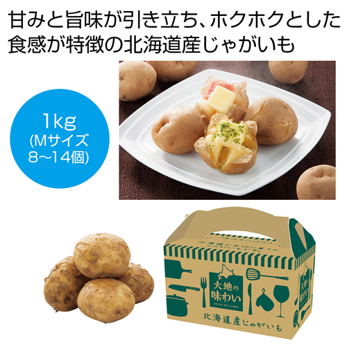[食品ギフト] 大地の味わい 北海道産じゃがいも（男爵）1kg