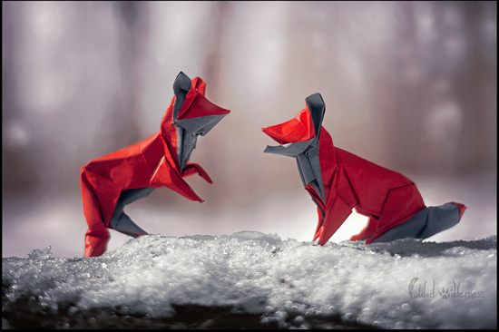 Foxy Friends Frolicking by FoldedWilderness