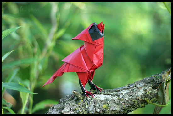 Origami Singing Cardinal by FoldedWilderness