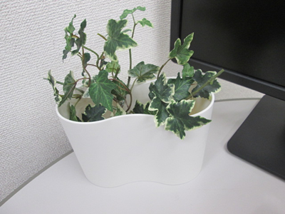 ノベルティ:コクーンタイプスタンド 白