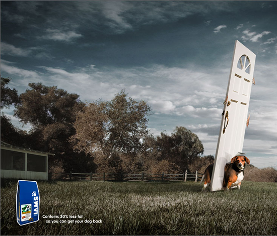 ペットフード(Iams)の販促用ポスター。太り過ぎが気になる犬にピッタリなペットフォードだそうです。<米国>