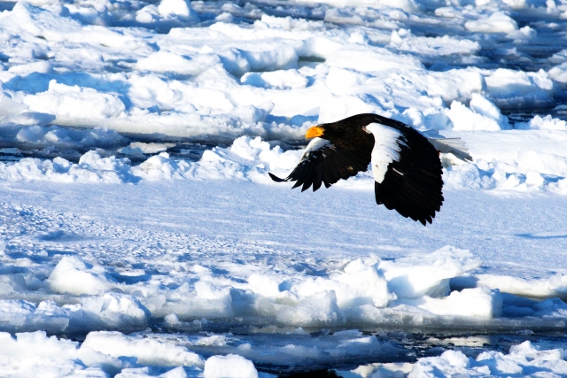 商談を盛り上げる!今すぐ使える雑学小ネタ 厳選10 Vol.5