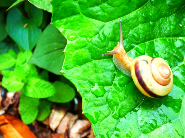 商談を盛り上げる!今すぐ使える雑学小ネタ 厳選10 Vol.5