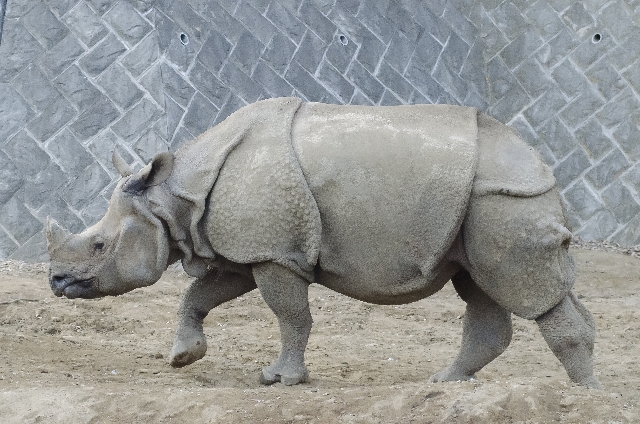 商談を盛り上げる!今すぐ使える雑学小ネタ 厳選10 Vol.6