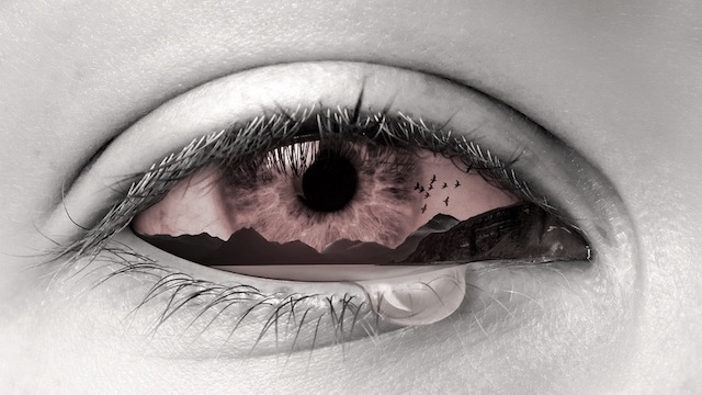 商談を盛り上げる!今すぐ使える雑学小ネタ 厳選10 Vol.8