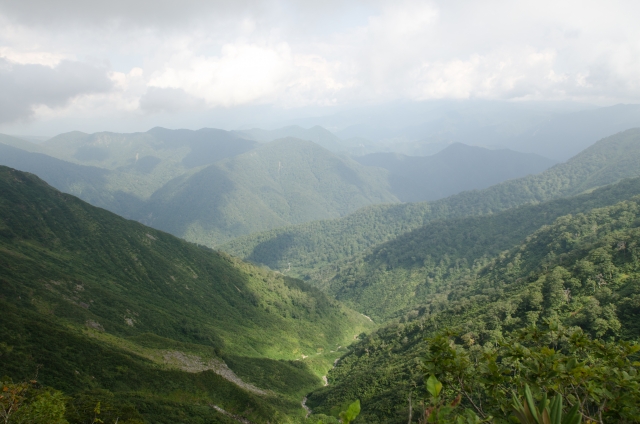 商談を盛り上ける！今すく使える雑学小ネタ 厳選10 Vol.11