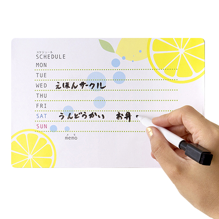 アウトレット/売り切り廃盤、89品目が追加され益々お得に